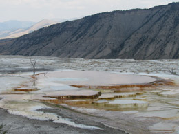 Mammoth Hot Springs Terraces