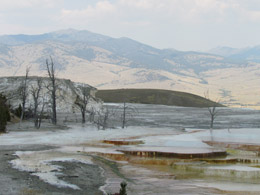 Mammoth Hot Springs Terraces