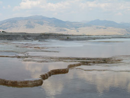 Mammoth Hot Springs Terraces