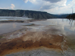 Mammoth Hot Springs Terraces
