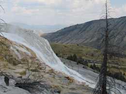 Mammoth Hot Springs Terraces