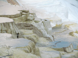 Mammoth Hot Springs Terraces