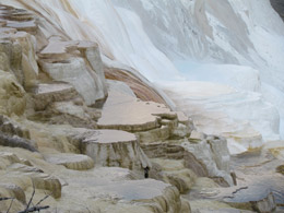 Mammoth Hot Springs Terraces