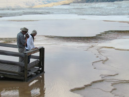 Mammoth Hot Springs Terraces