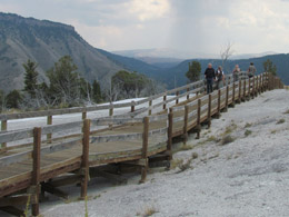 Mammoth Hot Springs Terraces
