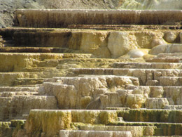 Mammoth Hot Springs Terraces
