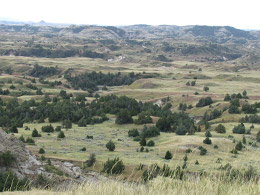 Theodore Roosevelt National Park