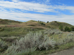 Theodore Roosevelt National Park