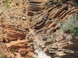 Theodore Roosevelt National Park