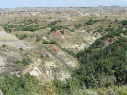 Theodore Roosevelt National Park