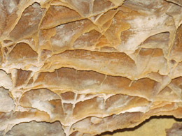 Boxwork in Wind Cave