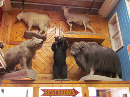Wall Drug