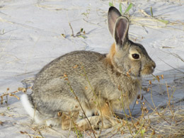 Badlands National National Park