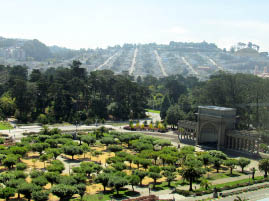 View from De Young Museum