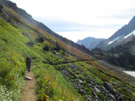 Cascade Pass Trail