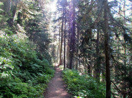 Cascade Pass Trail