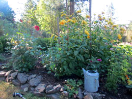 Winterpond Guest House