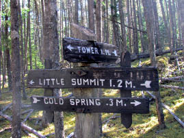 Mt. Constitution Hike