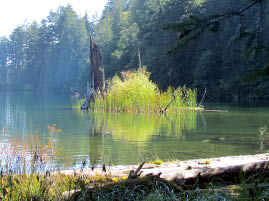 Mt. Constitution Hike