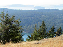 Turtleback Mountain Preserve