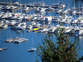 Turtleback Mountain Preserve
