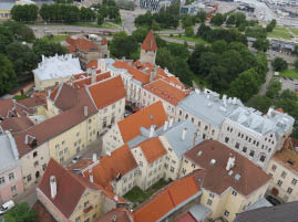 View from St. Olav’s Church