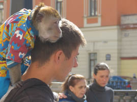 Streets of St. Petersburg