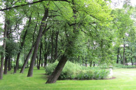 Mikhailovsky Garden