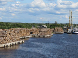 Scenes from the River