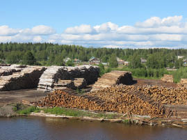 Scenes from the River