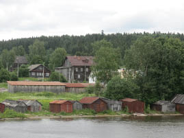 Scenes from the River