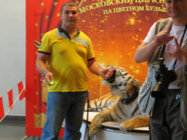 Moscow Circus