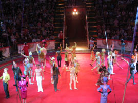 Moscow Circus