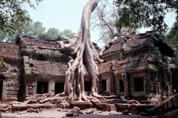 Angkor Ruins