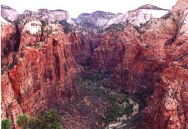 View from Angel's Landing