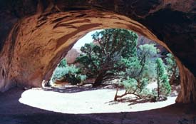 Tunnel Arch